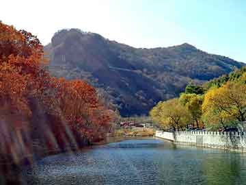 失踪人员：岳春玲